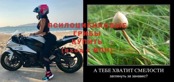 бутират Алзамай