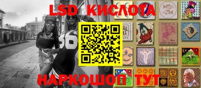 крисы Шелехов