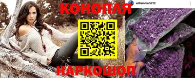 крисы Шелехов