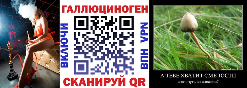 Галлюциногенные грибы Magic Shrooms  наркотики  Алексин 