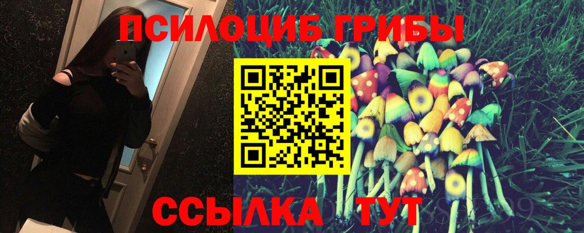 Псилоцибиновые грибы прущие грибы  Вход с VPN  Алексин 